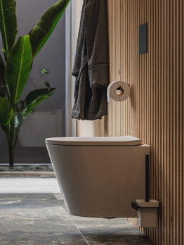 Wall Hung Toilets
