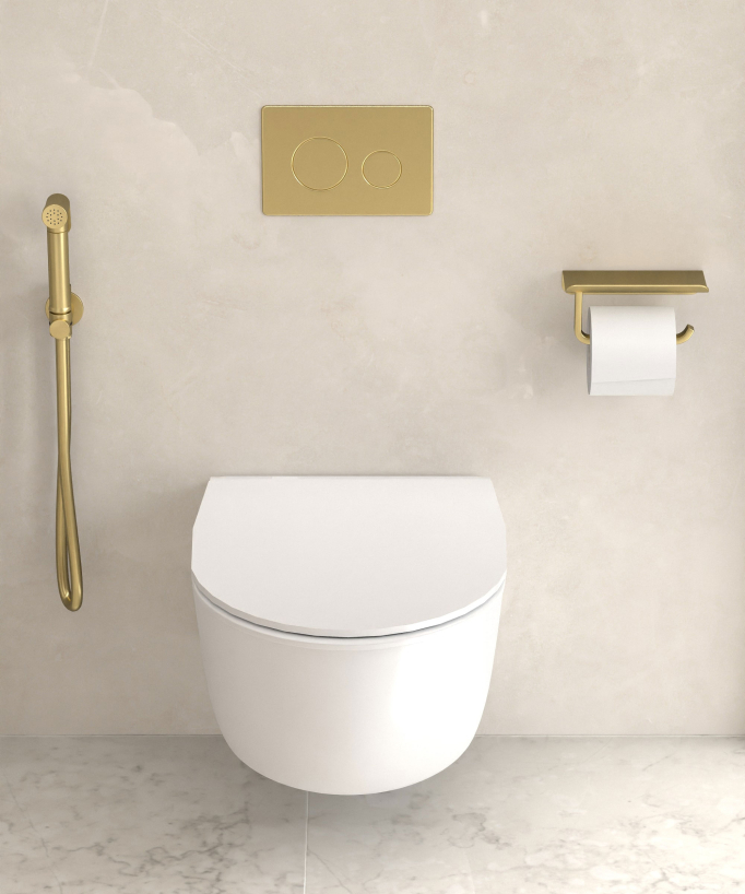 Round Wall-Mounted Bidet Shower Kit - Brushed Gold